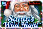 Santa's Wild Night